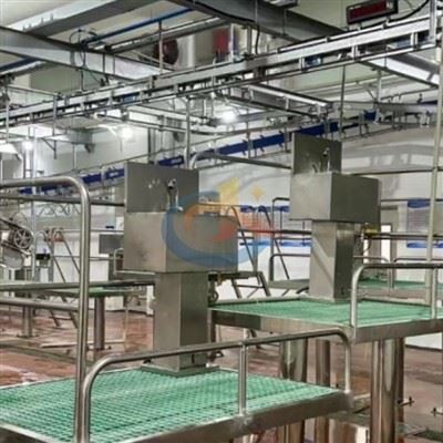 Specific Process Of Pig Slaughtering And Processing